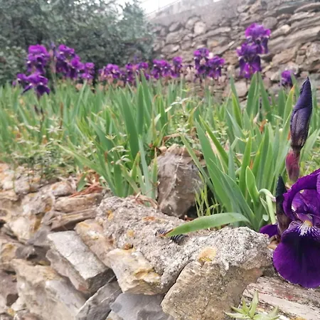 Homestay Acqua Di Alassio